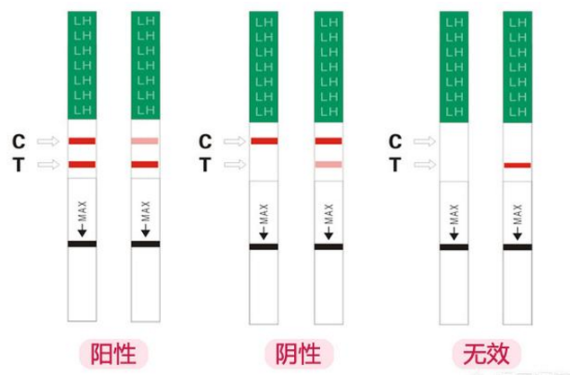 其他 > 详情     其实,试纸上面,会一直显示双杠,要比较的就是两条杠