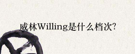 威林willing是什么档次