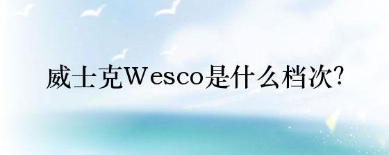 威士克wesco是什么档次