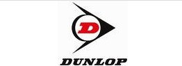 Dunlop高尔夫球服