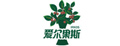 大红枣品牌标志LOGO
