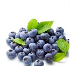 蓝莓品牌排行榜