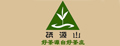 春茶叶品牌标志LOGO