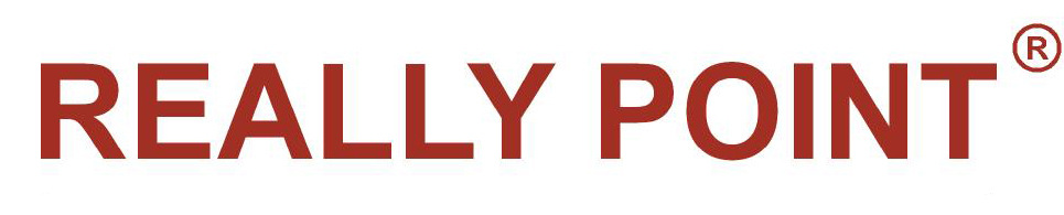 REALLYPOINT品牌标志LOGO