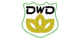DWD品牌标志LOGO