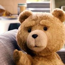 100以内泰迪熊品牌排行榜