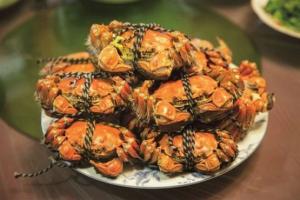 中国的十大螃蟹种类