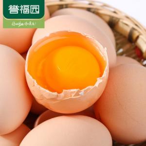 第2件0.1元【誉福园】橘园谷饲原生土鸡蛋15枚 农家散养新鲜鸡蛋
