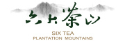 六大茶山野山茶油