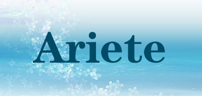 Ariete多士炉