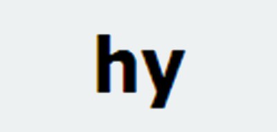 H Y偏振镜