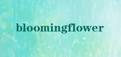 bloomingflower儿童学步车
