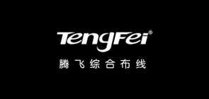 tengfei数码网络测试仪
