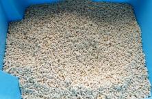 猫砂的正确使用方法 膨润土猫砂对猫有害吗？