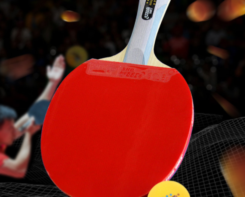 国产乒乓球拍十大排行榜 中国十大乒乓球拍排名