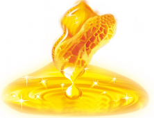 花生油和玉米胚芽油吃哪个健康？价格上悬殊多少？