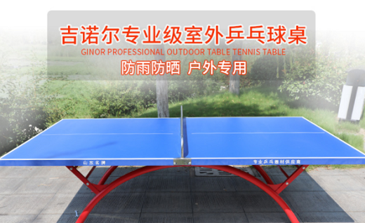 国产乒乓球桌品牌哪个好？国产乒乓球桌十大品牌排名