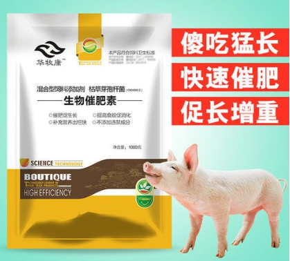 猪饲料添加剂品牌排行榜