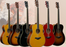 电箱吉他什么牌子性价比高？性价比高的电箱吉他十大排名
