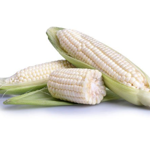 白玉米品牌排行榜