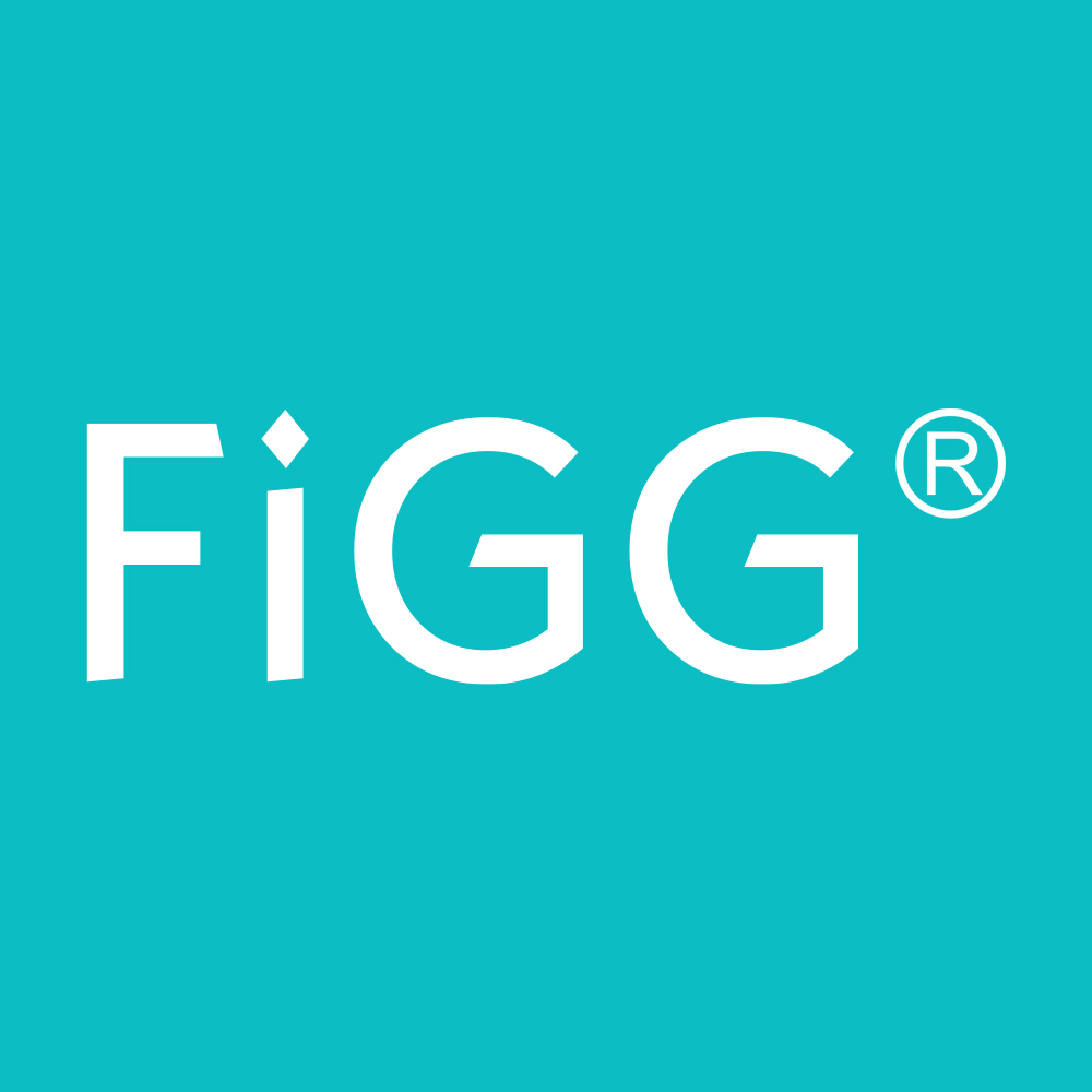 FiGG品牌标志LOGO