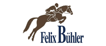 FelixBuhler飞力飚马品牌标志LOGO