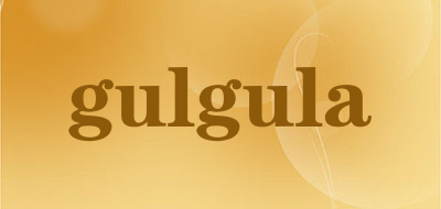 gulgula品牌标志LOGO