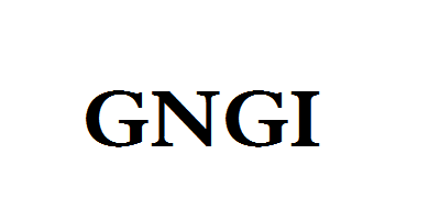 GNGI品牌标志LOGO