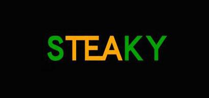 steaky品牌标志LOGO
