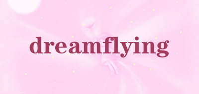 dreamflying品牌标志LOGO