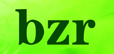 bzr品牌标志LOGO