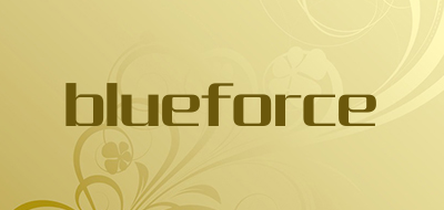 blueforce品牌标志LOGO
