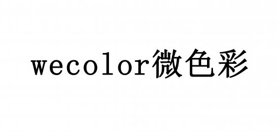 微色彩品牌标志LOGO