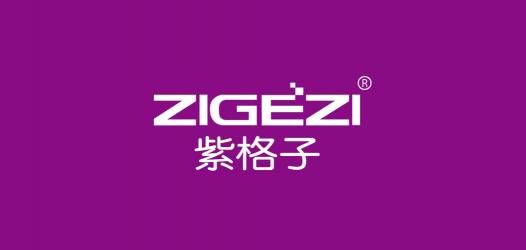zigezi服饰品牌标志LOGO