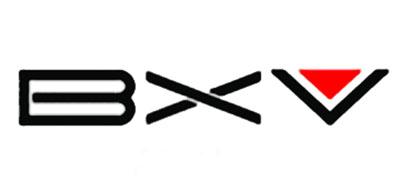 BXV品牌标志LOGO