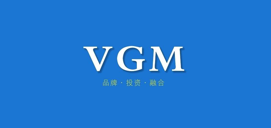 vgm品牌标志LOGO