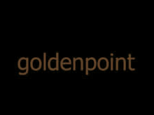 GOLDENPOINT品牌标志LOGO