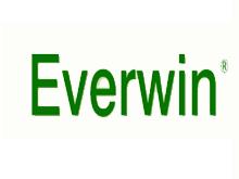 Everwin品牌标志LOGO