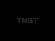 TNGT品牌标志LOGO