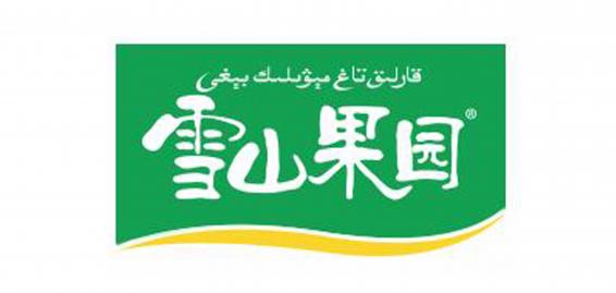 新疆干果品牌标志LOGO