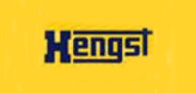 HENGST品牌标志LOGO