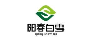 阳春白雪有机绿茶