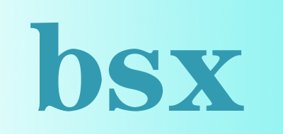 bsx品牌标志LOGO